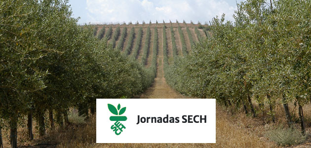 La Rioja acogerá las Jornadas Nacionales del Grupo de Olivicultura de la SECH