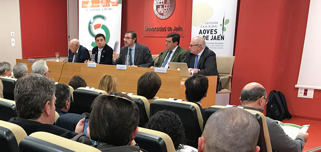 Expertos del sector abordan la repercusión de la PAC post 2020 en la oleicultura jiennense