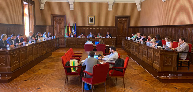 La Diputación de Jaén aprueba el Plan Especial de Empleo con más de 10 millones para generar jornales