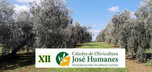 La DOP Estepa anuncia la XII Cátedra José Humanes con dos conferencias sobre nutrición saludable y la nueva olivicultura