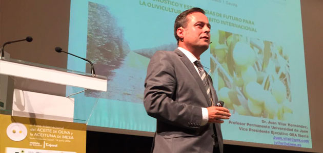 El experto y consultor estratégico Juan Vilar dará soporte a la FAO en materia de olivicultura