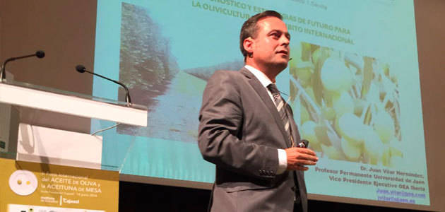 El experto y consultor estratégico Juan Vilar dará soporte a la FAO en materia de olivicultura