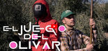 El Juego del Olivar