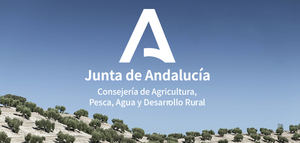 I Estrategia Andaluza para el Sector del Olivar. Horizonte 2027