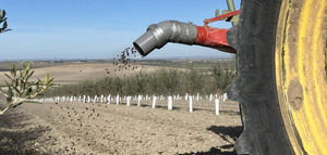Guanumus , apostando por la fertilización orgánica en el olivar