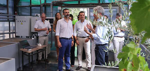 Un laboratorio pionero sobre sequía y clima futuro en cultivos mediterráneos como el olivo