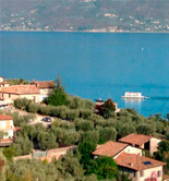 Cuatro días de análisis y degustación de AOVE en el Lago di Garda 