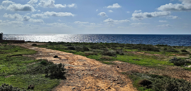 GirOlio d'Italia, un proyecto que aúna cicloturismo y la valorización del paisaje oleícola