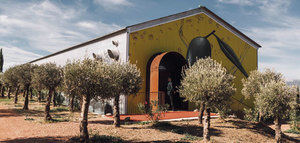 El Ayuntamiento de Ronda y LA Organic acercarán la elaboración de aceite de oliva a los escolares