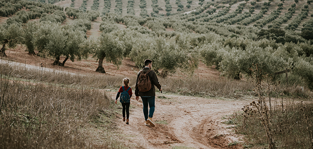 'The Last Olive', una miniserie ambientada en un Jaén postapocalíptico