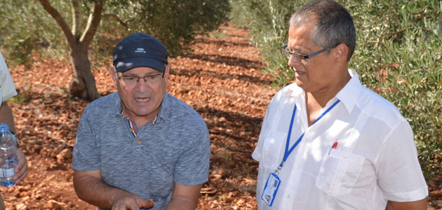 Almazara, un programa de formación de olivicultores en Líbano