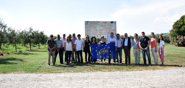 Life Resilience progresa en la lucha contra la Xylella fastidiosa en la Toscana