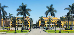 El consumo de aceite de oliva gana terreno en el mercado peruano