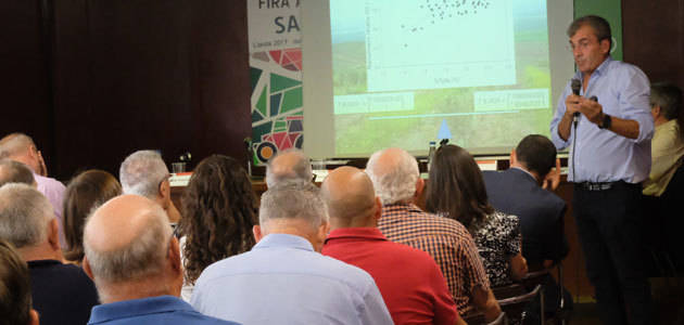 Diversos expertos analizan en Lleida las últimas investigaciones para mejorar la calidad del aceite de oliva