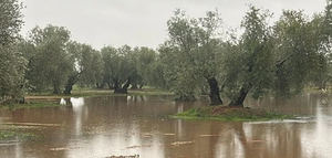El Congreso convalida las medidas para responder a los daños causados por los temporales en Andalucía y Extremadura