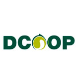 Dcoop nombra un Comité de Dirección encargado de potenciar su comercialización e industrialización