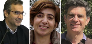 La mejora genética del olivo como herramienta para la rentabilidad del cultivo