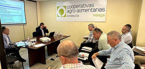 Antonio Luque revalida su cargo como presidente de Cooperativas Agro-alimentarias de Málaga