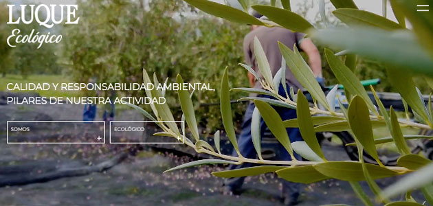 Tradición y modernidad se combinan en la renovada web de Luque Ecológico