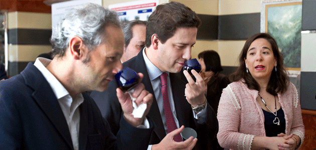 Madrid localiza 12.200 nuevas hectáreas idóneas para el cultivo del olivo  