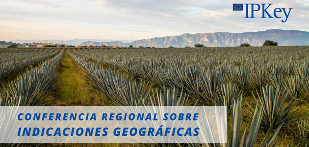 La DOP Sierra Mágina participará en dos conferencias internacionales sobre Indicaciones Geográficas