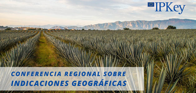 La DOP Sierra Mágina participará en dos conferencias internacionales sobre Indicaciones Geográficas