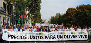 Miles de olivareros reclaman en Madrid precios justos para un olivar vivo