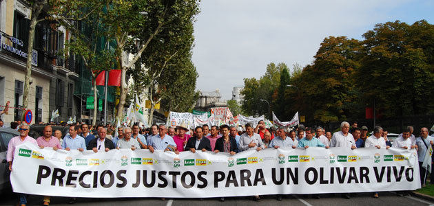 Miles de olivareros reclaman en Madrid precios justos para un olivar vivo