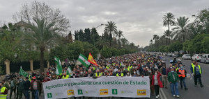 Más de 15.000 agricultores reclaman medidas políticas y fiscales para frenar la crisis del campo andaluz