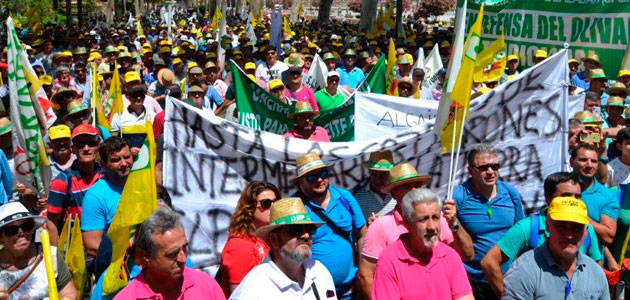 Miles de agricultores reclamarán mañana en Madrid precios justos por un olivar vivo