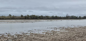 El Gobierno y la Junta de Andalucía aprueban ayudas para el sector agrario afectado por las borrascas