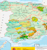 El Magrama actualiza el mapa de los aceites de oliva con DOP