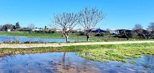 El Gobierno aprueba una financiación de 100 millones de euros para el sector agrario afectado por las borrascas en Andalucía y Extremadura