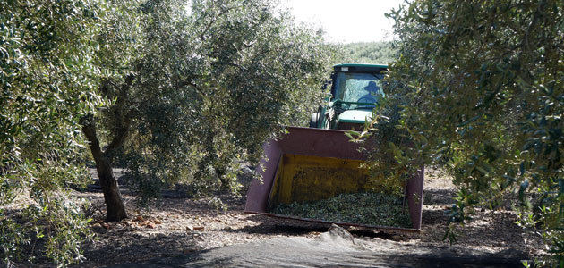 El Gobierno aprueba las bases reguladoras de las subvenciones destinadas a financiar avales para la compra de maquinaria agrícola