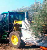 La renta agraria aumenta un 1,7% en 2015 a pesar de la caída de la producción de aceite de oliva