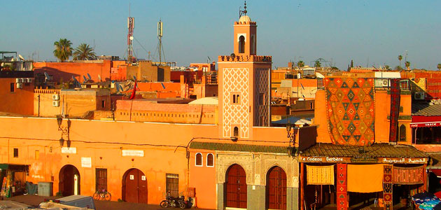 Desafíos y perspectivas del sector oleícola, a debate en Marruecos