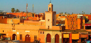 Marruecos, un mercado en constante expansión para el aceite de oliva