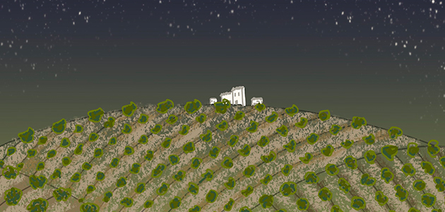 'El misterio de la aceituna del hueso de oro' , primer premio del VIII Concurso Internacional de Relatos sobre Olivar