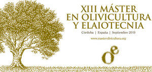 La XIII edición del Máster en Olivicultura y Elaiotecnia comenzará en septiembre