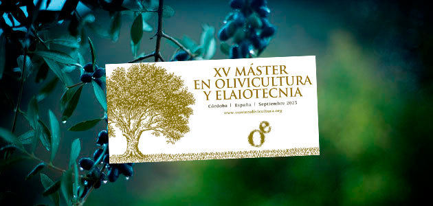 Nueva edición del Máster en Olivicultura y Elaiotecnia