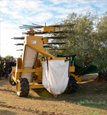 Desarrollan 15 equipos destinados a mecanizar y modernizar el olivar español