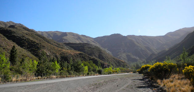 Avanza la Indicación Geográfica para el aceite de oliva mendocino