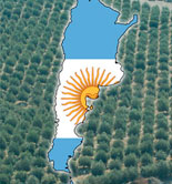 La Universidad Maza (Argentina) pone en marcha la Primera Diplomatura en Turismo Olivícola 