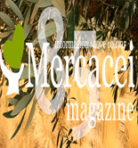 Mercacei Magazine 85, el viaje inesperado