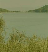 ¡Mercacei se va de vacaciones!