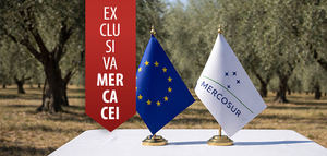 ¿Cuál será el impacto del acuerdo UE-Mercosur en el sector del aceite de oliva?