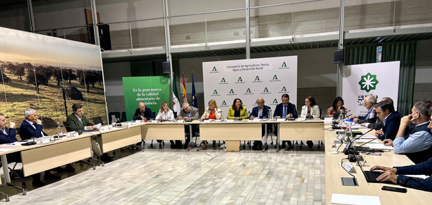 Andalucía aprueba un paquete de medidas de impulso a la agricultura con la vista puesta en el olivar