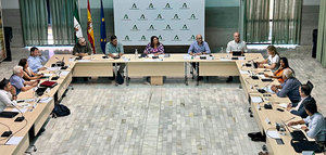 La Mesa de Interlocución Agraria de Andalucía acuerda pedir ayudas ante la difícil situación del olivar