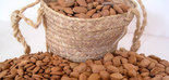 El sector de frutos secos sitúa la previsión de cosecha de almendra en 121.000 t.