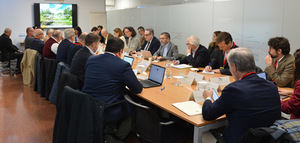 El MAPA destaca la "estabilidad" actual en las cotizaciones del aceite de oliva frente a la alta variabilidad de años anteriores